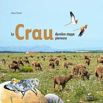 LA CRAU, DERNIERE STEPPE PIERREUSE - Alain Schall 